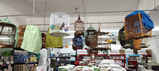 My Cats & Pets Centre