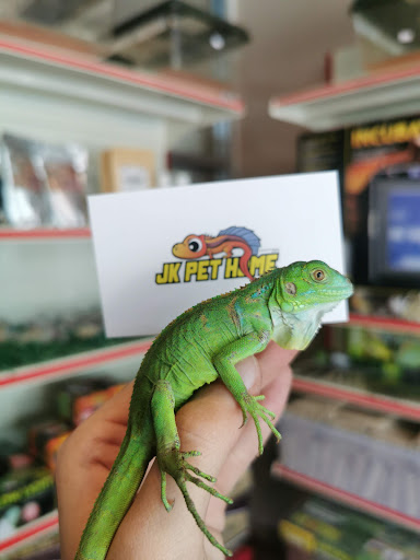 JK PET HOME