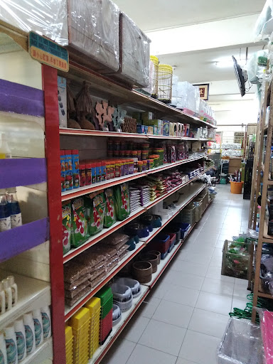 Lucky Star Fish Shop