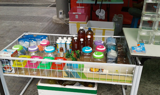 Aqua Cultured And Betta House