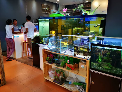 Aqua Legend Concept Shop