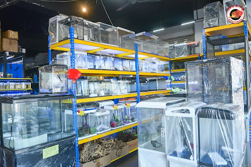 99 TROPICAL FISH IMPRESSION & PETS SDN.BHD.