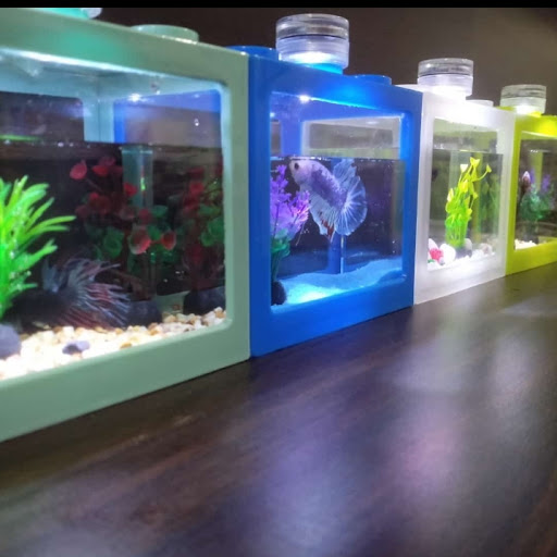 HFIY Betta Fish Lukut