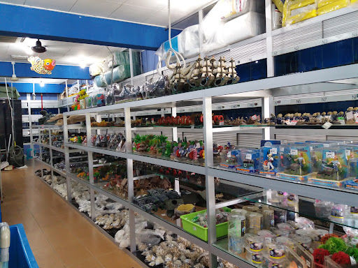 Xiang Loong Aqua Pets (Seremban 2)