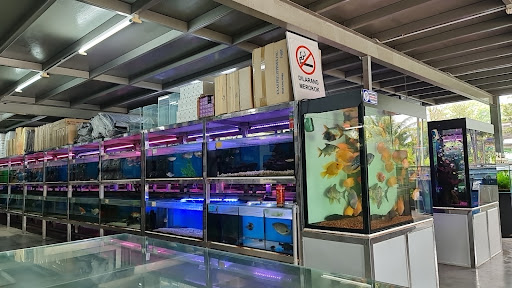 SIONG AQUARIUM & PETS CENTRE