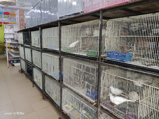 Kedai Burung Kesayangan