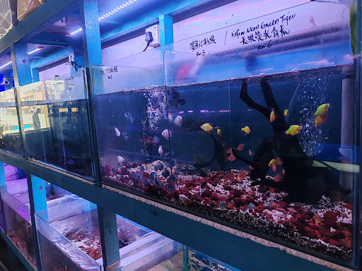 Pusat Akuarium Sen Seng
