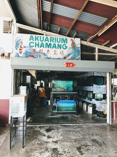 Aquatic Chamang Bentong