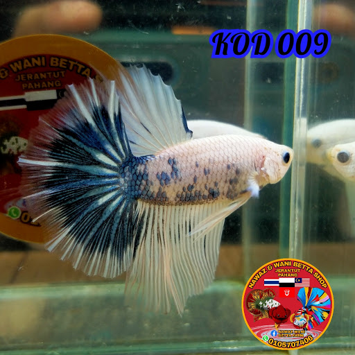 Nawaz&wani betta shop