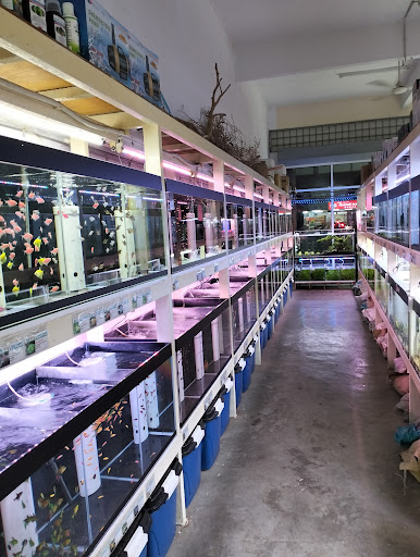 HAPPINESS AQUATIC TRADING 幸福水族馆