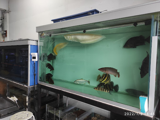 Alive Aquatic & Pets Kuantan