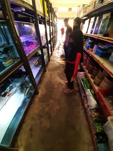 Hub Fatt Aquarium Taman Guru