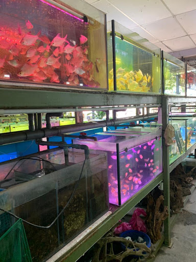 Balok Pet Centre