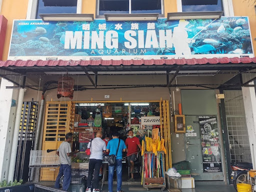 Ming Siah Aquarium