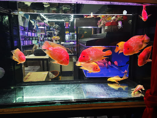 3C Aquarium and Pets 3C Aquarium and Pets