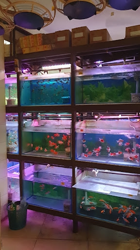 Akuarium Shui Jing Gong