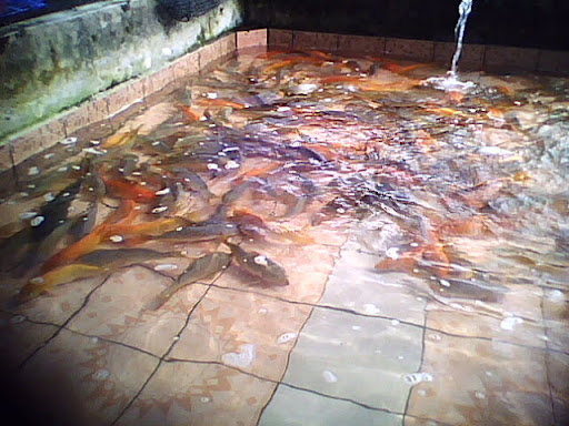 Serantau Puyu Enterprise