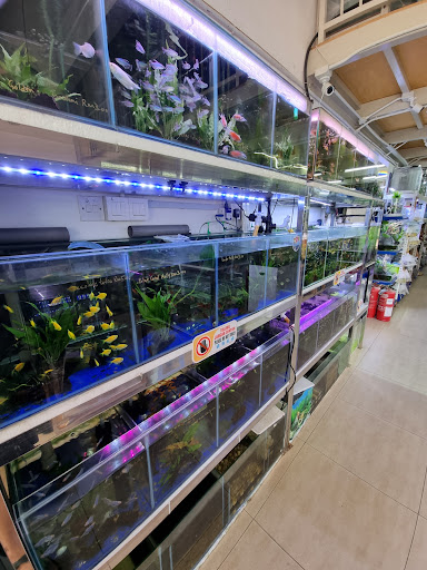Mun Siang Aquarium & Pets Accessories (Main Branch)