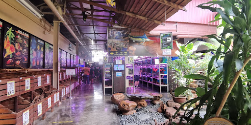 Chew Thean Yeang Aquatic & Pet