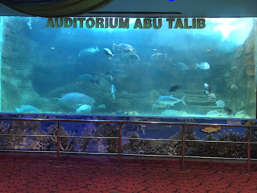 Akuarium Tunku Abdul Rahman