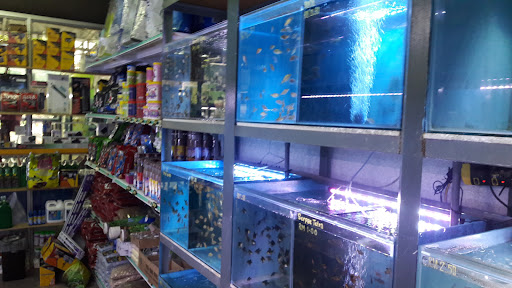 Aquarium Seberang Jaya