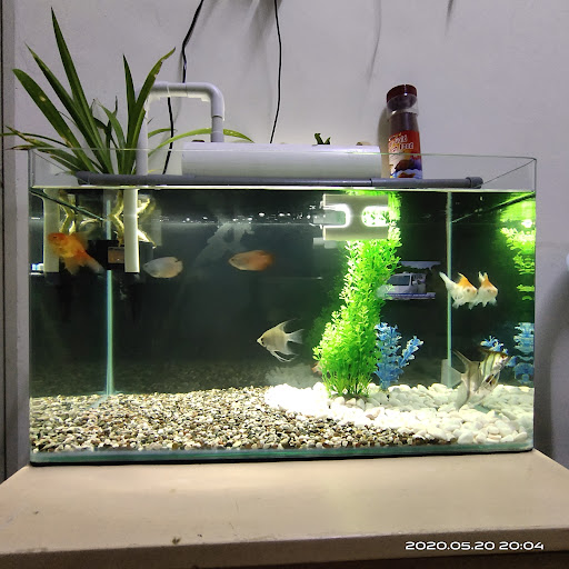 Sea Garden Aquarium