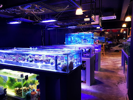 Eco Marine Aquarium Centre