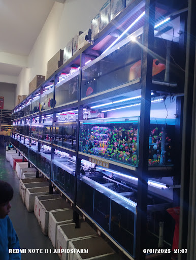 Atlantic Fish Factory