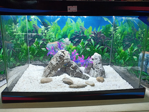 Siew Pet N Aquarium Centre