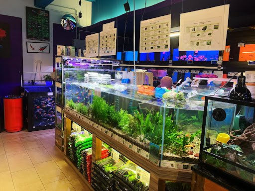 Chew Thean Yeang Aquatic & Pet (Bayan Baru)