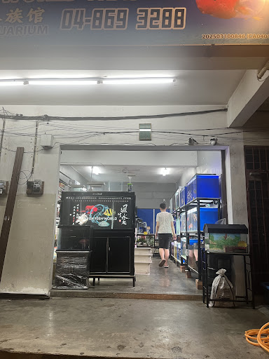 MEGA FISH WORLD TRADING