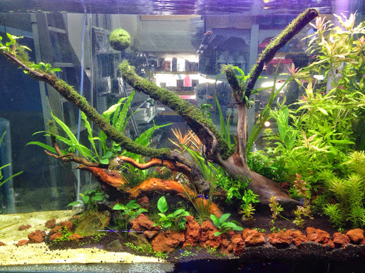 57 Aquarium Center 57 Aquarium Center