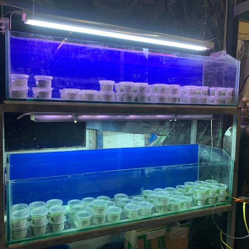 Sunshine Aquarium(Aquarium Shop In Kuching)