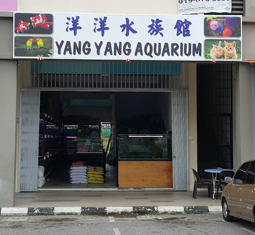 洋洋水族馆. YANG YANG AQUARIUM