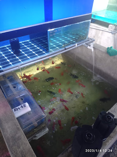 498 Pets & Aquaculture Trd Sdn Bhd 498 Pets & Aquaculture Trd Sdn Bhd