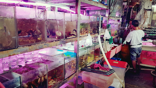 Soon Shui pet shop