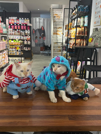 Pet's Club - 槟城宠物美容, Cat Grooming, Cat Boarding in Penang, Dog Grooming, Pets Cafe & Pets Retail