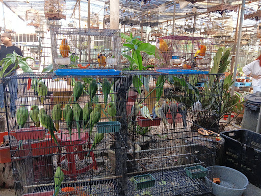 Yak Aquarium 益宠物 & 鸟笼