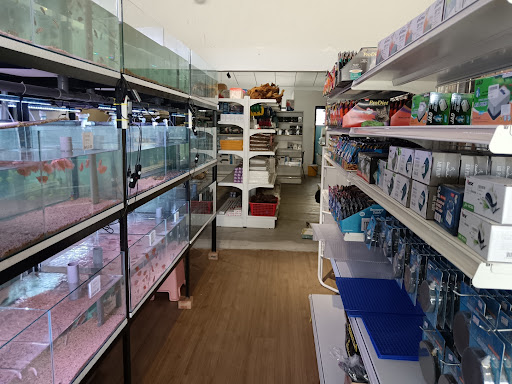 Sea Garden Pet Accessories