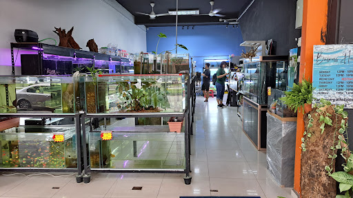 G Aquarium and Pets