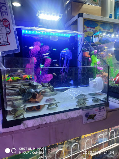 Pretty Aquatic & Pets Pretty Aquatic & Pets