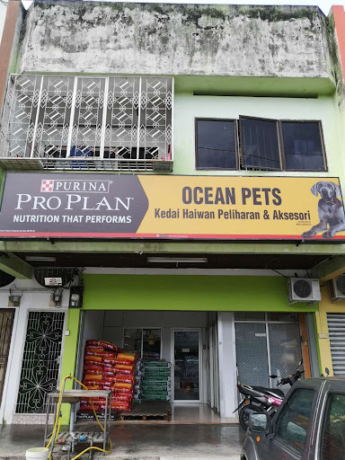 Ocean Pets Ocean Pets