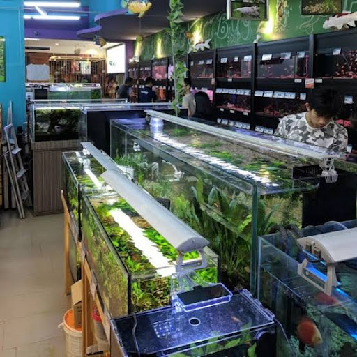 Tropicana Aquatic & Water Garden