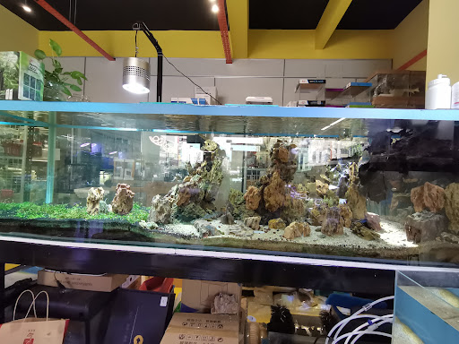 水草水族馆 Aquatic Plants Aquarium