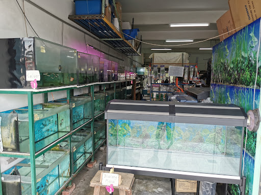 New Daijung Aquarium & Pets Shop