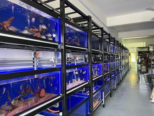 CDW AQUATIC AND PET ENTERPRISE