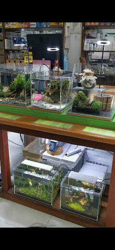 EQUAWORLD FOREST CREATIONS