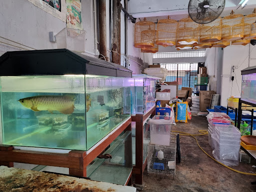 WENG KEE AKUARIUM