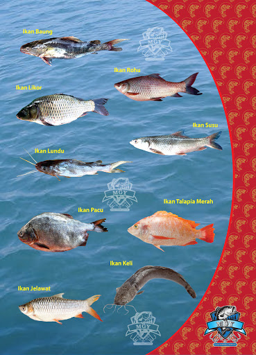 MGY AQUATEC (M) SDN BHD