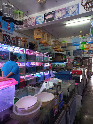 Manjung Aquarium Pets Centre (1P0155324-T)